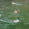 姿見の池にて２