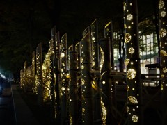 竹あかり１
