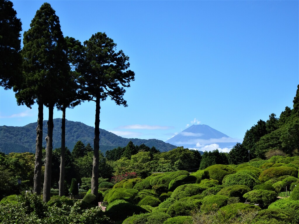 箱根からの富士山