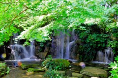 郷土の森の滝