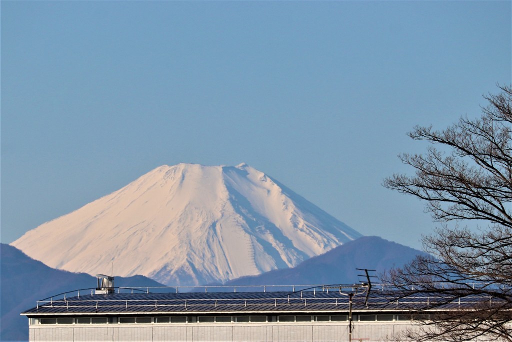 遅ればせながら１