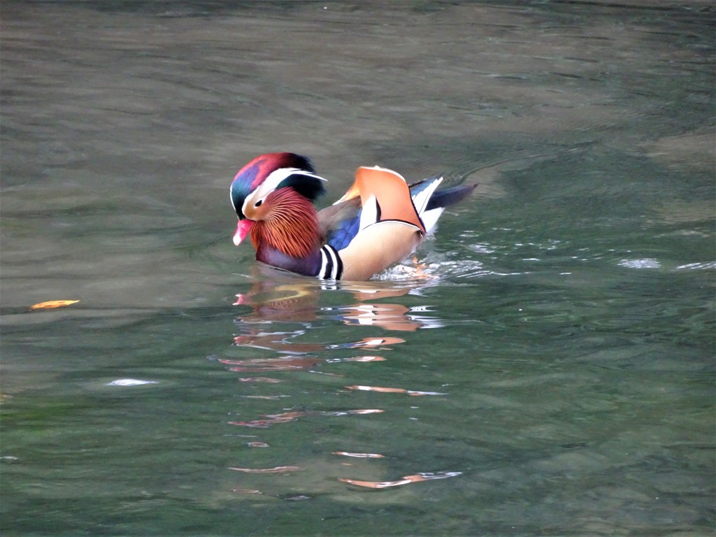 姿見の池にて