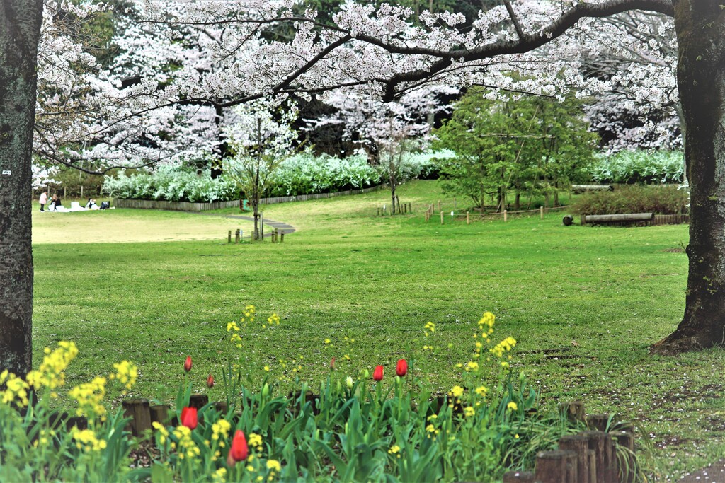 静かな春