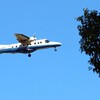 青空を飛ぶ