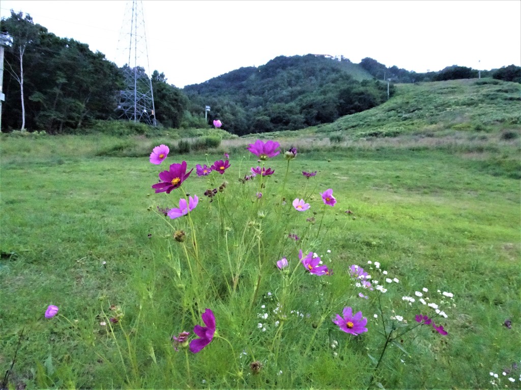 小樽ぶらり旅１３