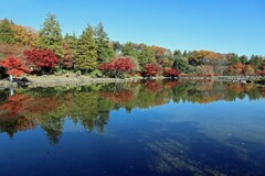 昭和記念公園の秋