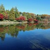 昭和記念公園の秋