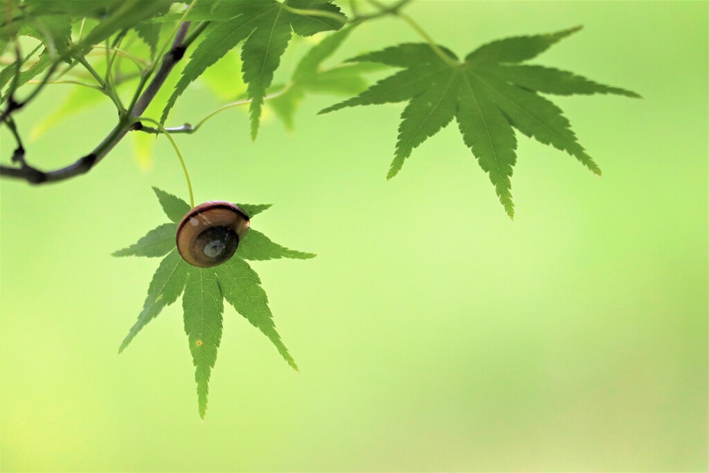 風に揺られて