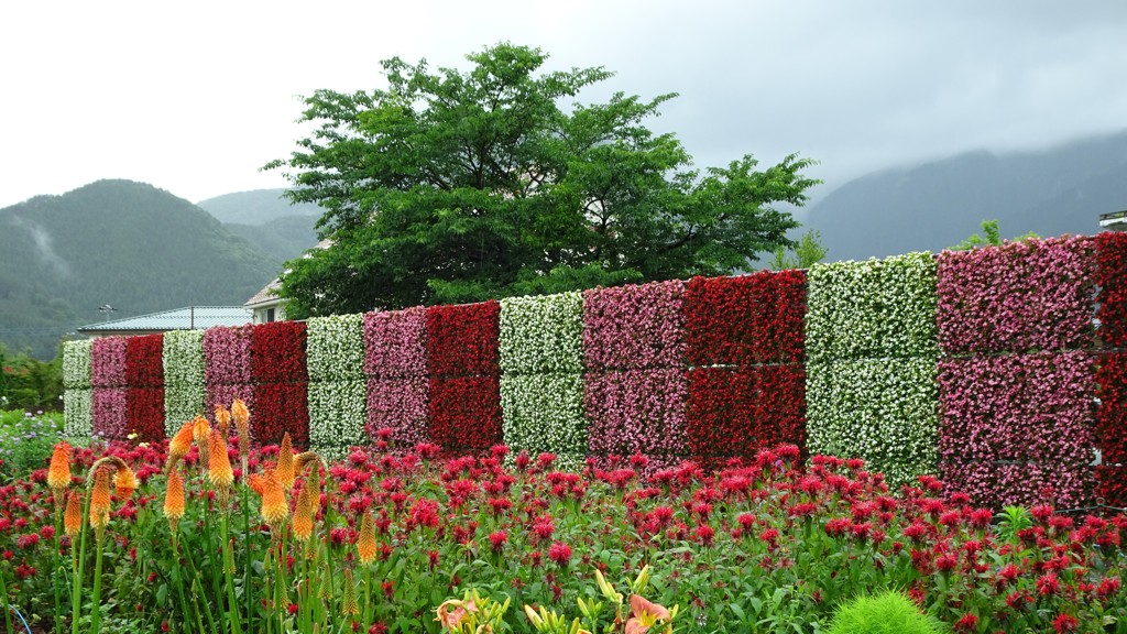 花溢れる