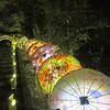 和傘の灯り