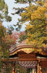 木立に囲まれた神社
