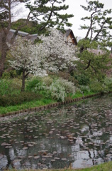 三溪園_52