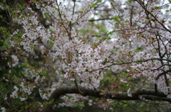 三溪園_63