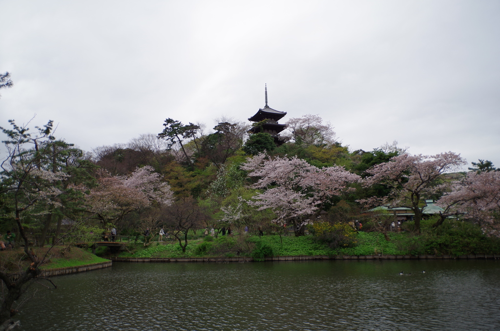 三溪園_20
