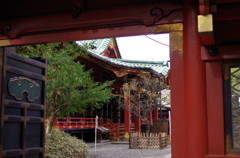 根津神社　2015　春　16