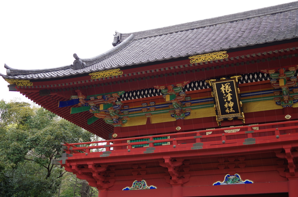 根津神社　2015　春　03