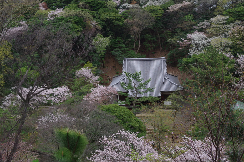 三溪園_46