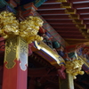 根津神社　2015　春　12