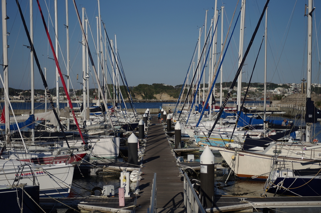 IMGP3548