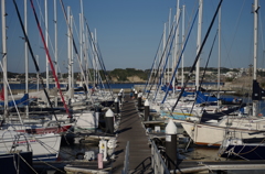 IMGP3548