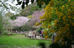 三溪園_64