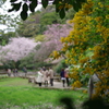 三溪園_64