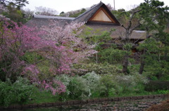 三溪園_56