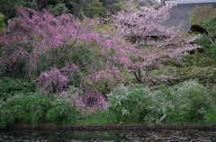 三溪園_07