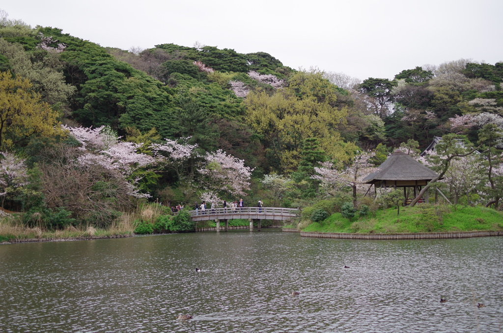 三溪園_54