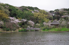 三溪園_54