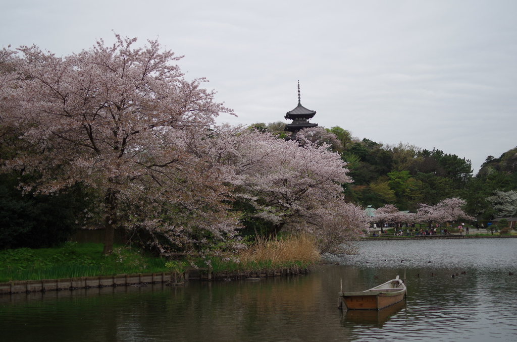 三溪園_02