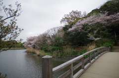 三溪園_22