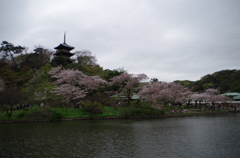 三溪園_21