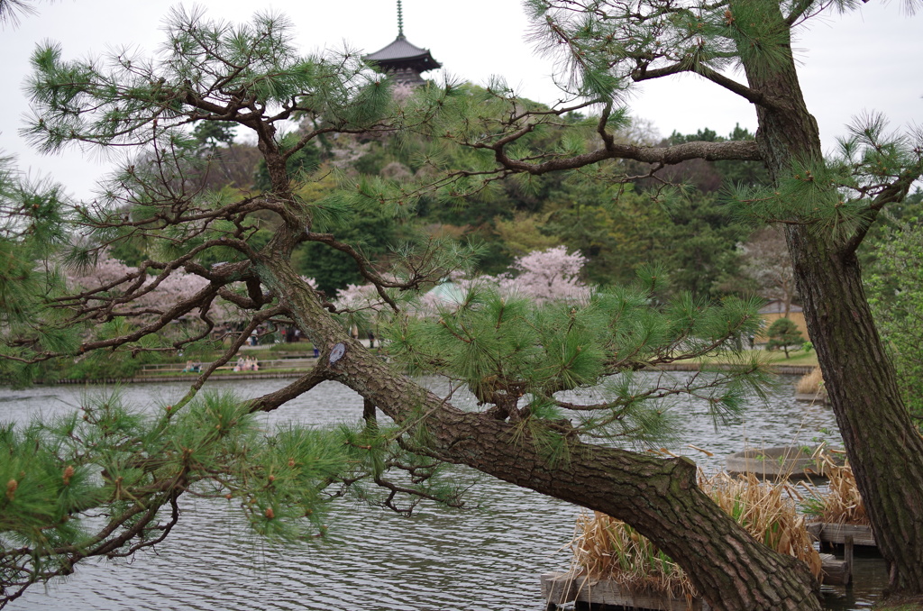 三溪園_05