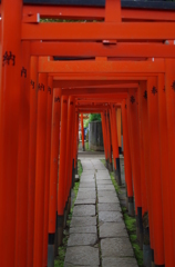根津神社　2015　春　24