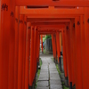 根津神社　2015　春　24