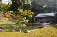 IMGP7697