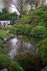 根津神社　2015　春　28