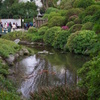 根津神社　2015　春　28