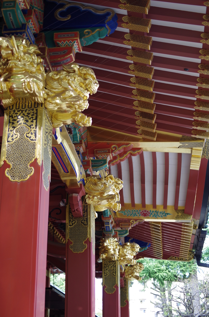 根津神社　2015　春　13