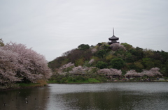 三溪園_04