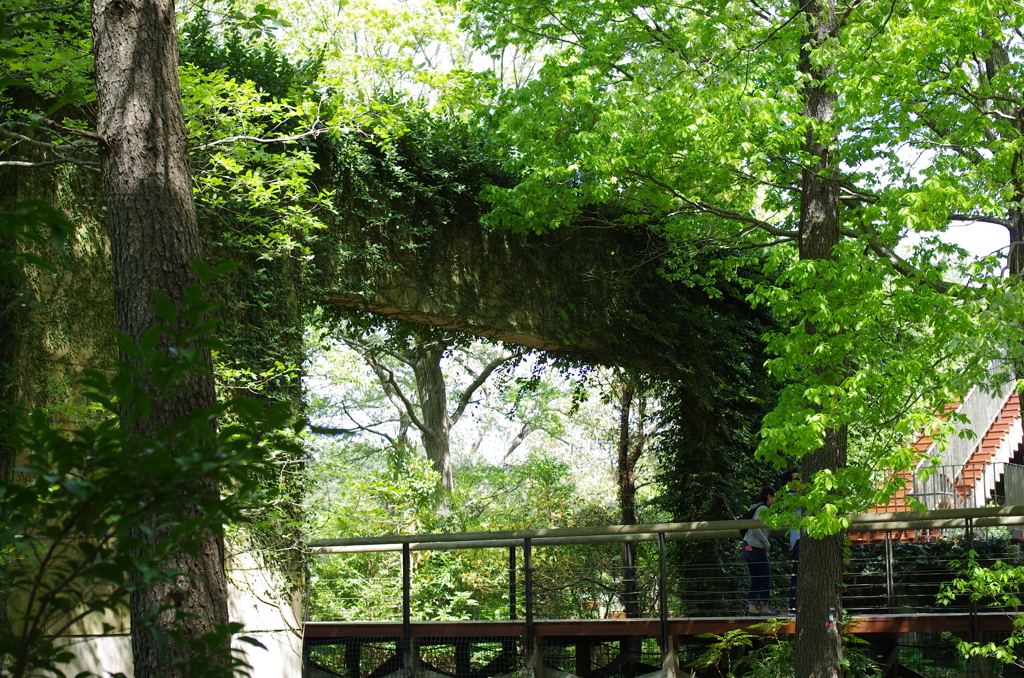 国営ひたち海浜公園_2015_01