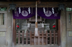 根津神社　2015　春　23