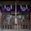 根津神社　2015　春　23
