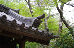 三溪園_49