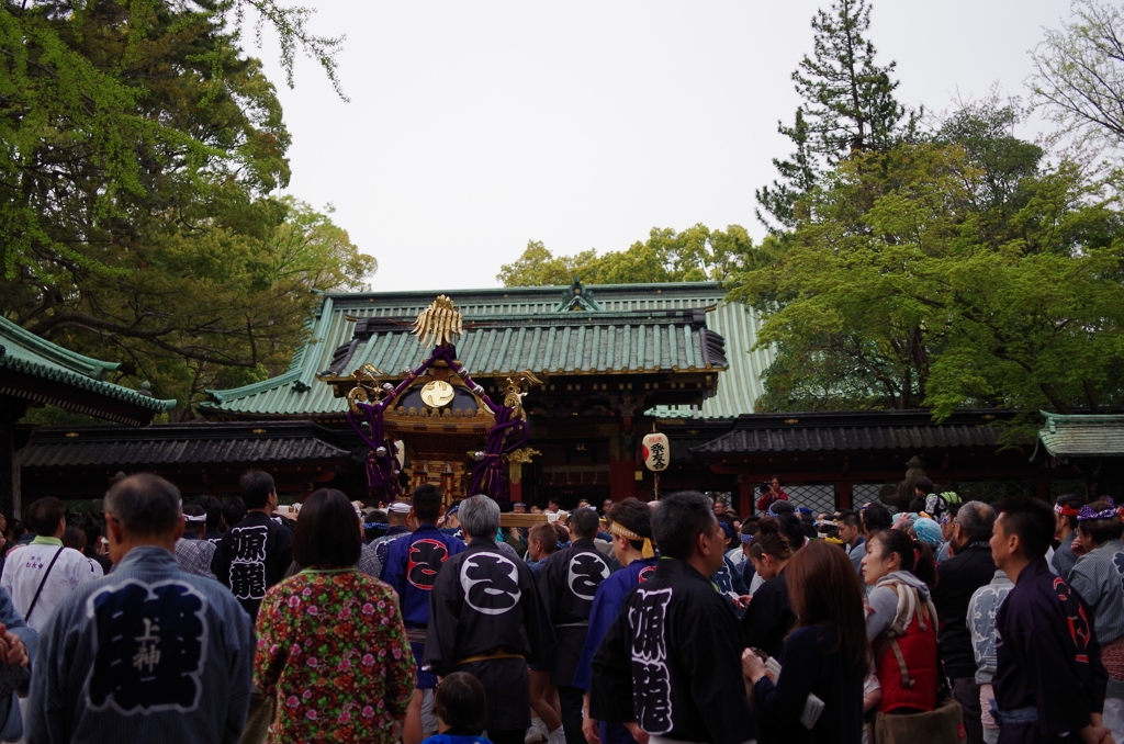 根津神社　2015　春　04