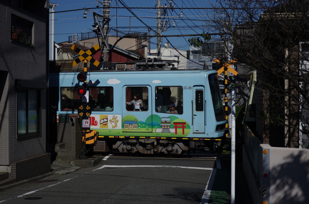 IMGP2920