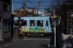 IMGP2920