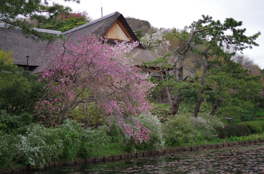 三溪園_08