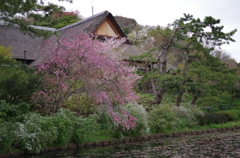 三溪園_08